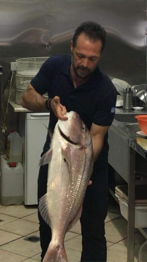 איה אפימיה Poseidon Apartments מראה חיצוני תמונה